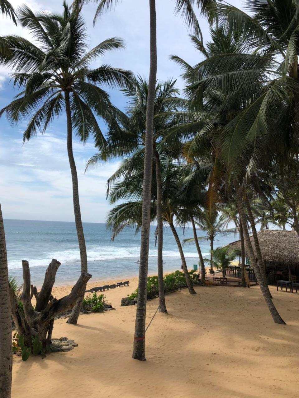 Blue Ocean Villa Hikkaduwa Ngoại thất bức ảnh